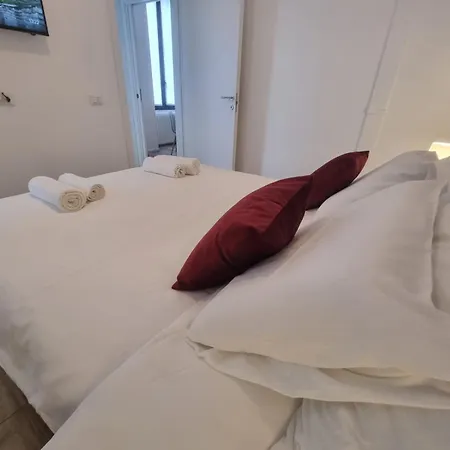 Lizard Apartment